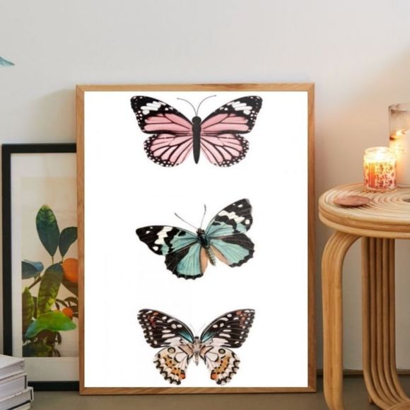 Urban Outfitters Wall Decor New Urban Outfitters Monarch Spectrum